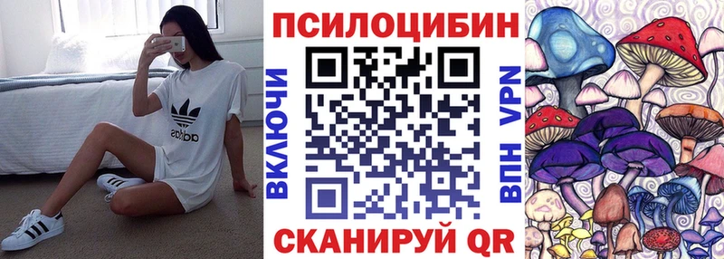 Галлюциногенные грибы мицелий  Михайловка 
